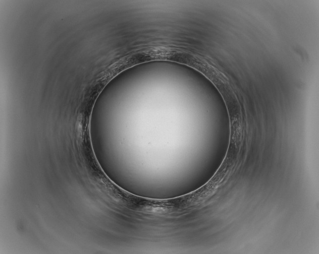 X0000112880655200909041642