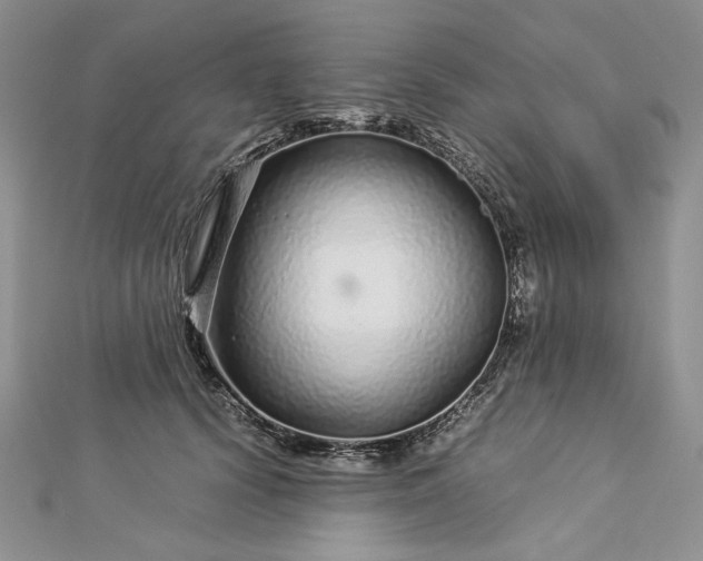 X0000112880656200909041642