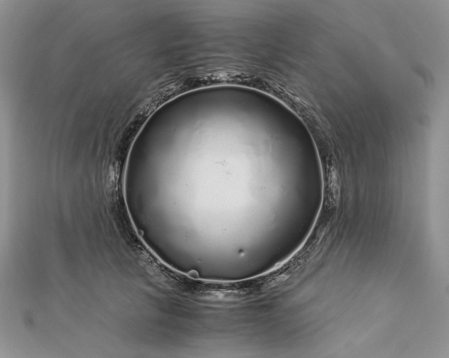 X0000112880657200909041642