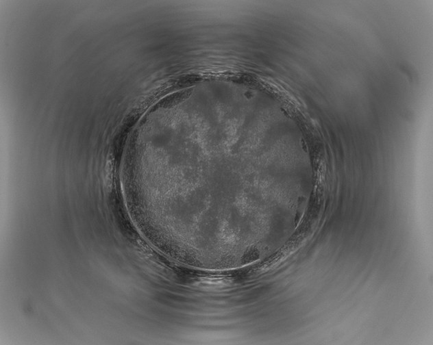 X0000112880659200909041642