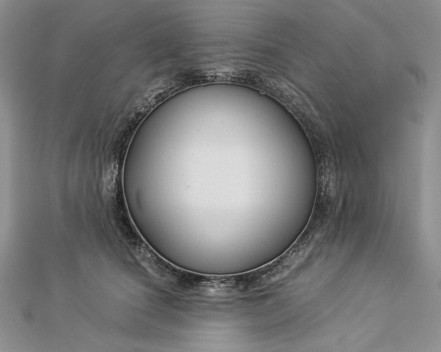 X0000112880660200909041642