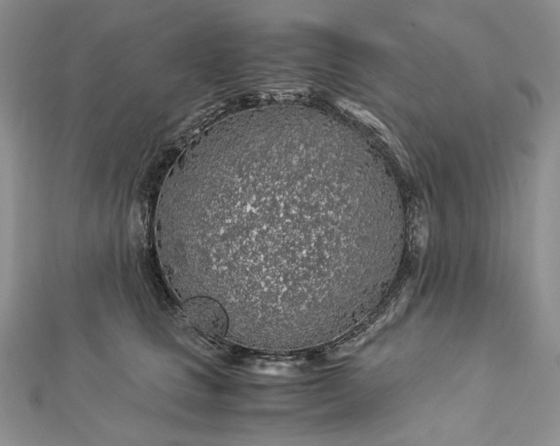 X0000112880661200909041642