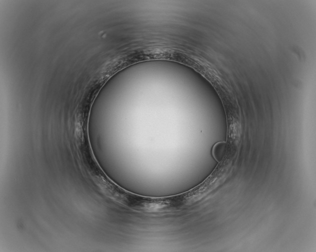 X0000112880662200909041642