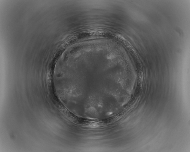 X0000112880663200909041642