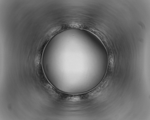 X0000112880665200909041642