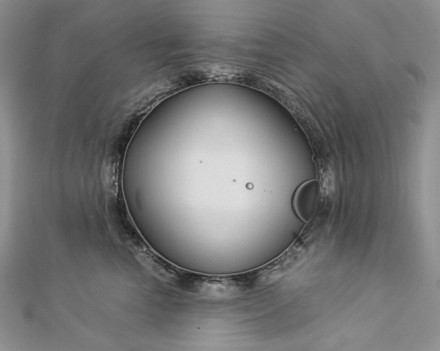 X0000112880666200909041642