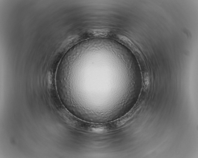 X0000112880667200909041642