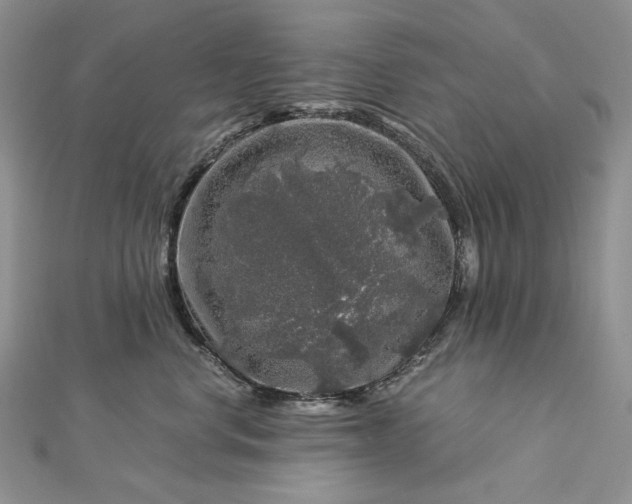 X0000112880668200909041642