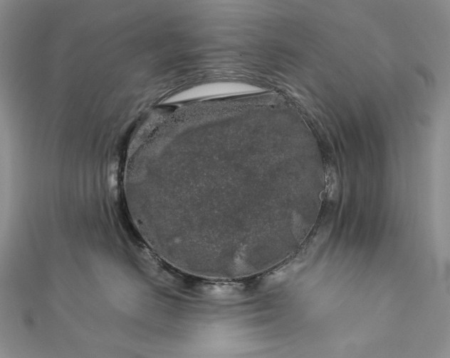 X0000112880670200909041642