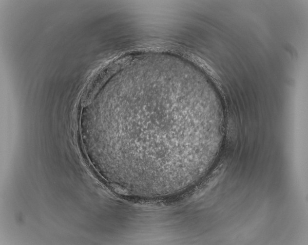 X0000112880673200909041642