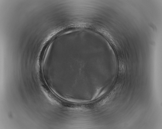 X0000112880674200909041642