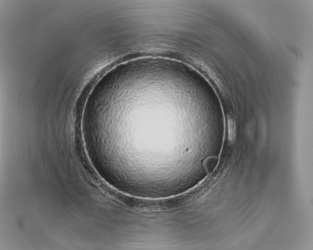 X0000112880675200909041642