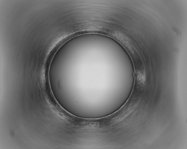 X0000112880676200909041642