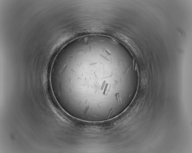 X0000112880677200909041641