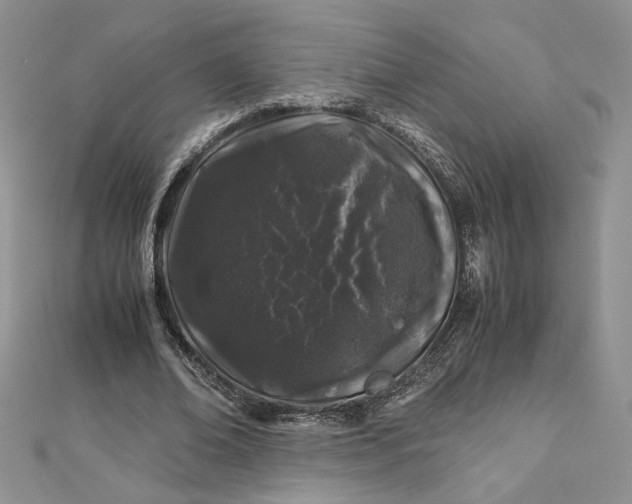 X0000112880678200909041641