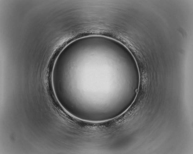 X0000112880679200909041641