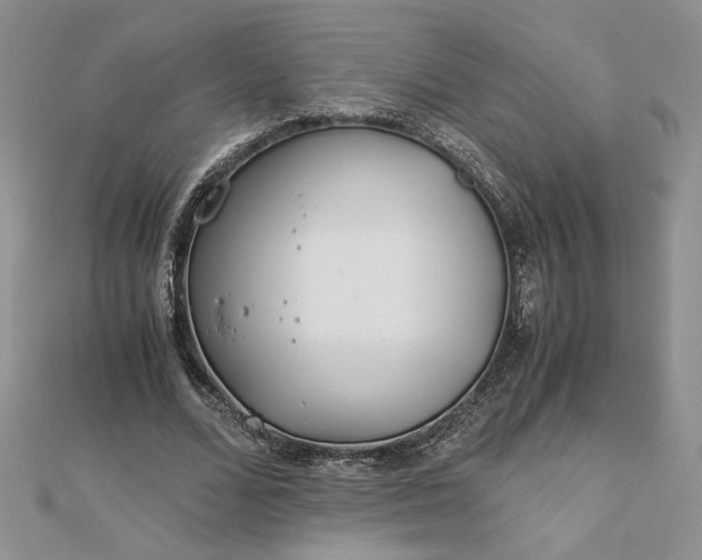 X0000112880680200909041641