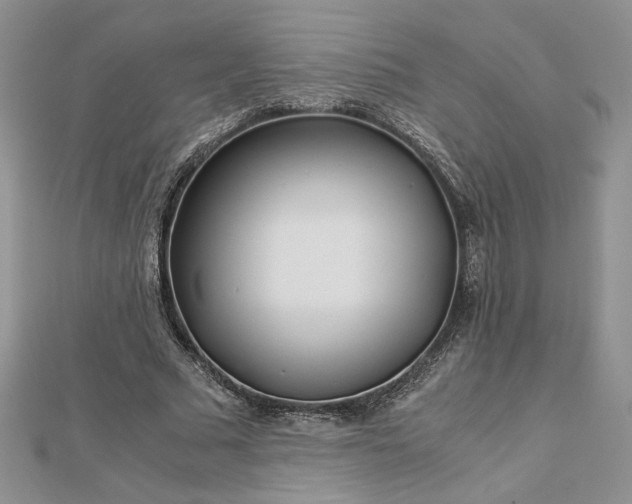 X0000112880681200909041641