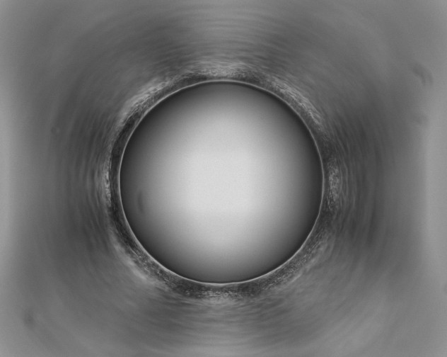 X0000112880682200909041641