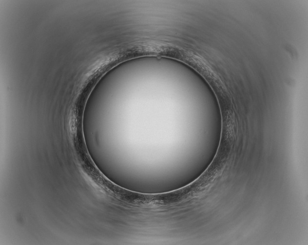 X0000112880683200909041641