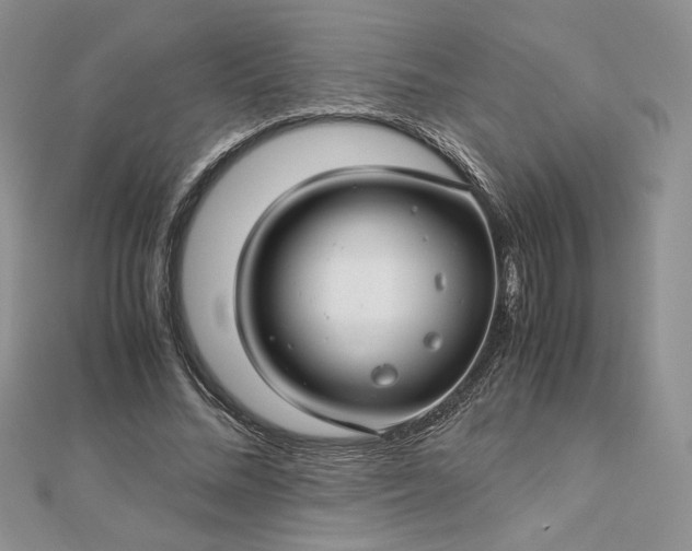 X0000112880684200909041641