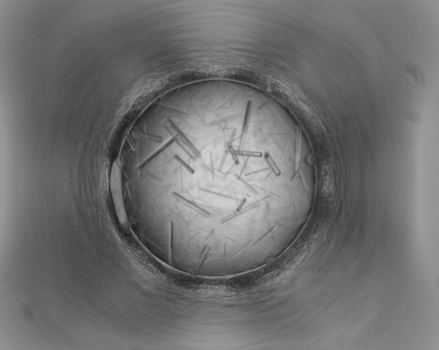 X0000112880685200909041641