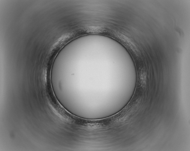 X0000112880686200909041641