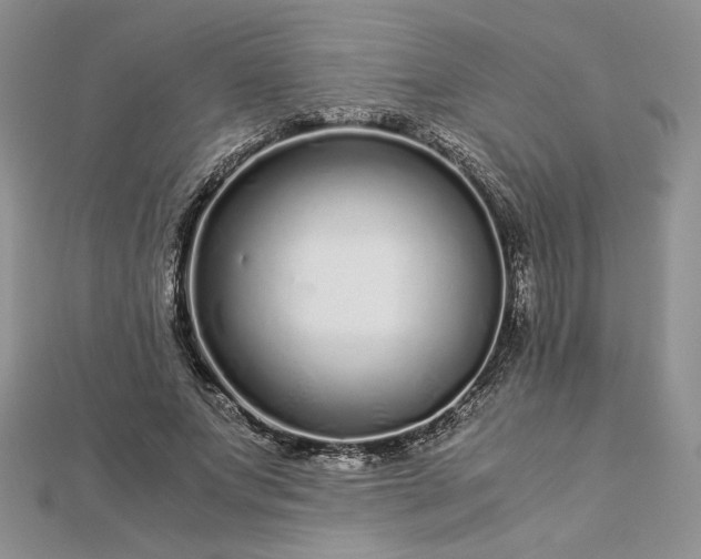 X0000112880687200909041641