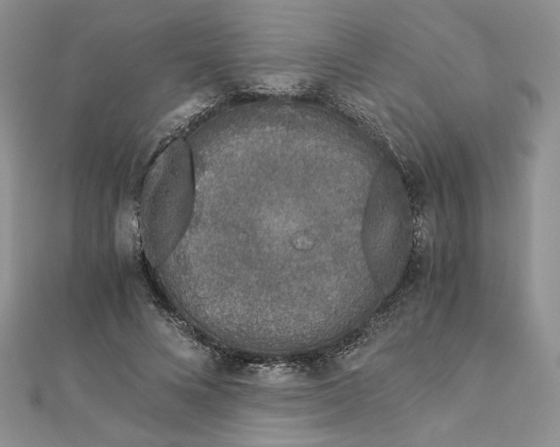 X0000112880688200909041641