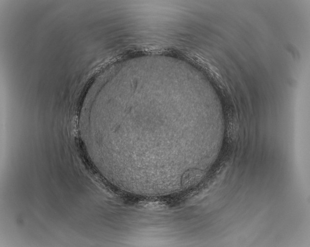 X0000112880689200909041641