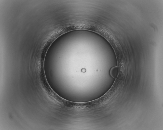 X0000112880690200909041641