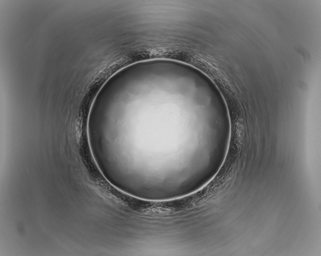 X0000112880691200909041641