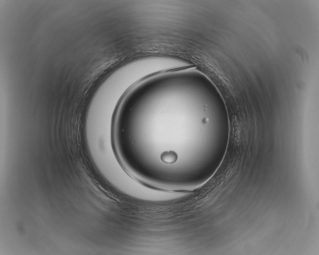 X0000112880692200909041641