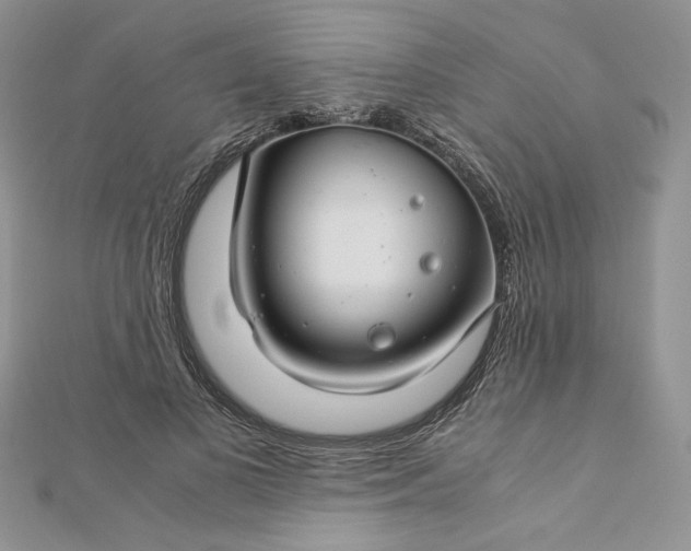 X0000112880693200909041641