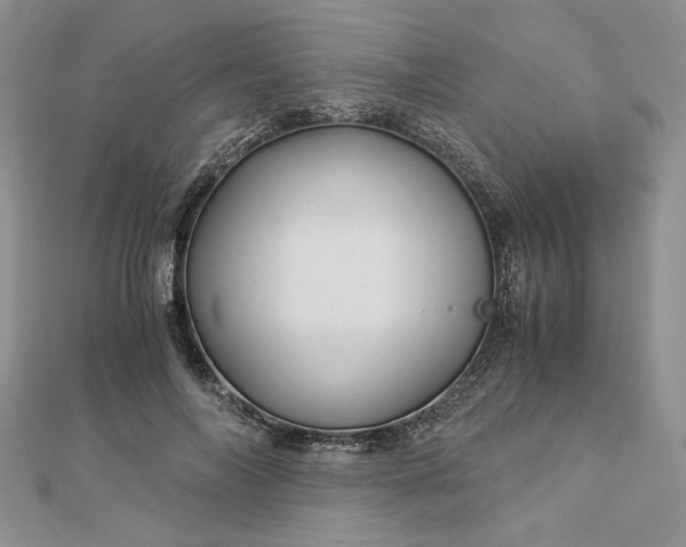 X0000112880694200909041641