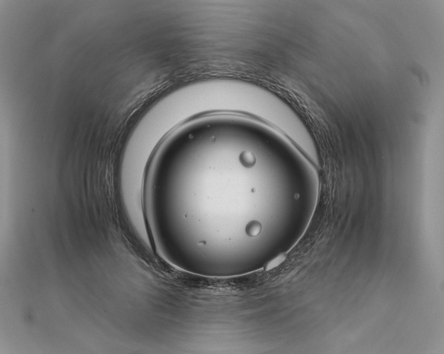 X0000112880696200909041641