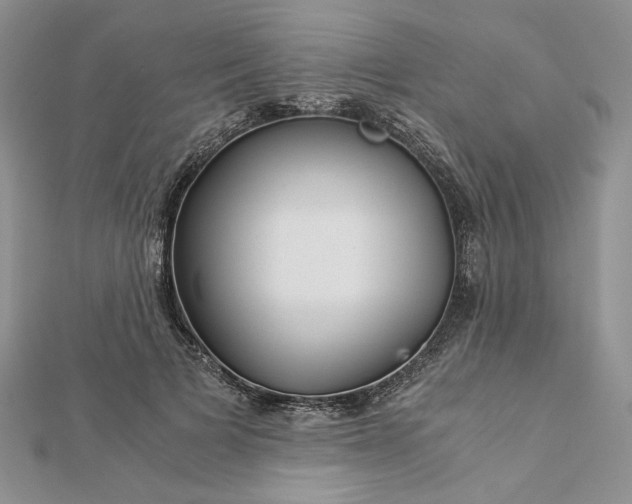 X0000112880697200909041641