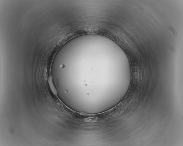 X0000112880700200909041641