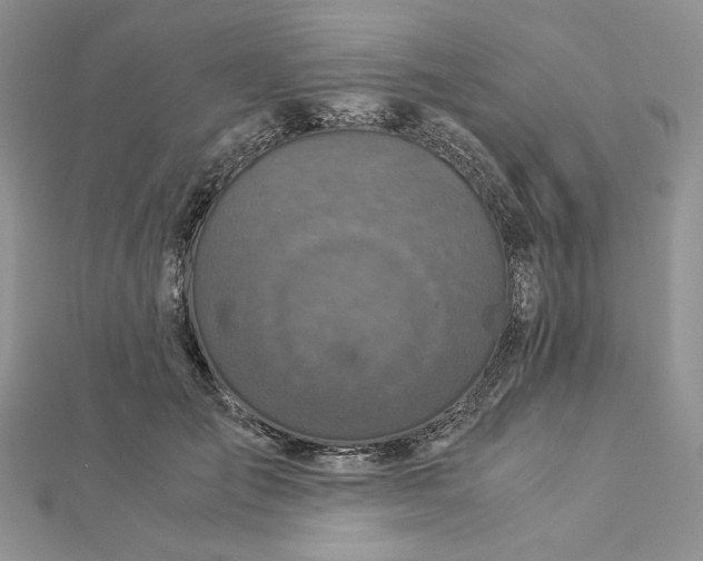 X0000112880701200909041641