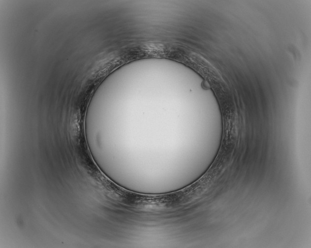 X0000112880702200909041641