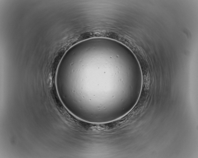 X0000112880703200909041641