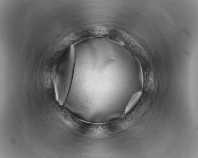 X0000112880704200909041641