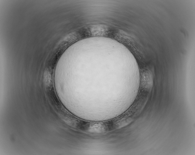 X0000112880705200909041641