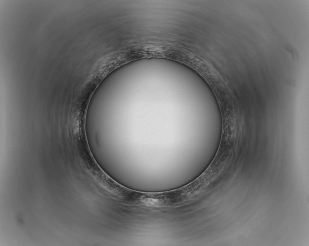 X0000112880706200909041641