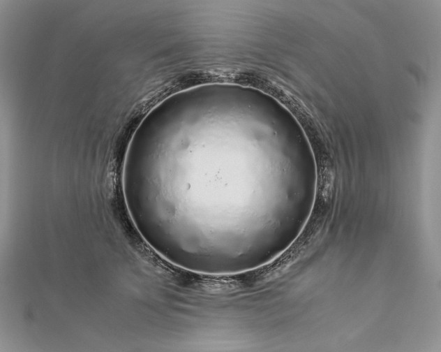 X0000112880707200909041641