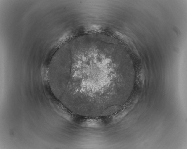 X0000112880708200909041641