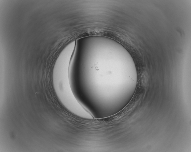 X0000112880709200909041641