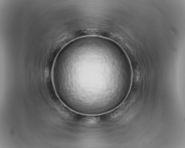 X0000112880711200909041641