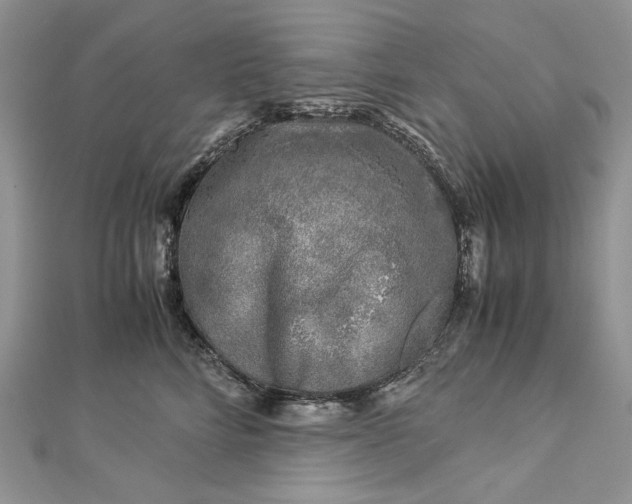 X0000112880712200909041641