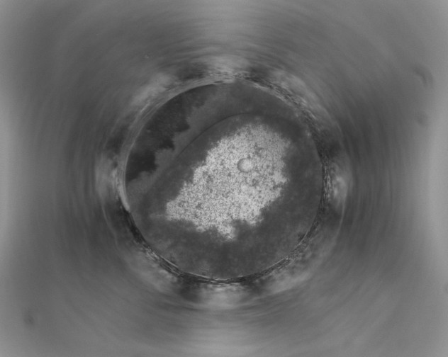 X0000112880716200909041641